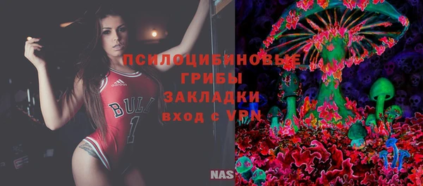 прущая мука Арсеньев